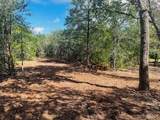 TBD Big Creek Forest Drive - Photo 11