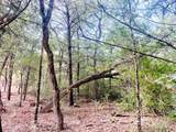 TBD Big Creek Forest Drive - Photo 12
