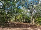 TBD Big Creek Forest Drive - Photo 13