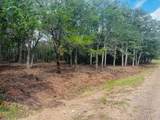 TBD Big Creek Forest Drive - Photo 14