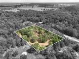 TBD Big Creek Forest Drive - Photo 16