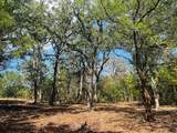 TBD Big Creek Forest Drive - Photo 7