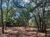 TBD Big Creek Forest Drive - Photo 8