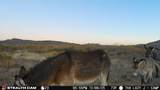 TBD Mailbox Road - Photo 16