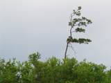 517 Road 5704 - Photo 11