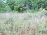 517 Road 5704 - Photo 6