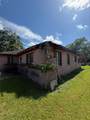 611 Live Oak Street - Photo 5