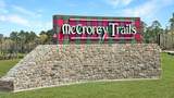 12259 Mccrorey Castle Pass - Photo 18