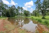 225 Lynn Hendrix Road - Photo 5