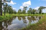 225 Lynn Hendrix Road - Photo 6