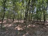 TBD Cr 3141 W Road - Photo 13
