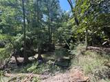TBD Cr 3141 W Road - Photo 14