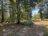 TBD Cr 3141 W Road - Photo 5