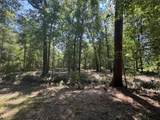 TBD Cr 3141 W Road - Photo 6