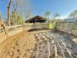 29921 Waller Spring Creek Road - Photo 16