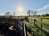 29921 Waller Spring Creek Road - Photo 17