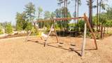 15924 Iris Meadow Drive - Photo 6