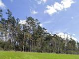 156 Longfellow Road - Photo 6