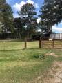 538 Lesa Lane - Photo 1