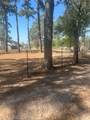 538 Lesa Lane - Photo 11
