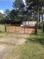 538 Lesa Lane - Photo 4