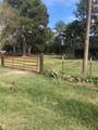 538 Lesa Lane - Photo 5