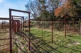 TBD County Road 204 - Photo 8