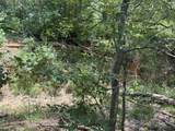 8110 N Hwy 77 - Photo 10