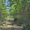 8110 N Hwy 77 - Photo 15