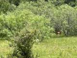 8110 N Hwy 77 - Photo 24