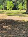 26002 Roping Pen Road - Photo 3