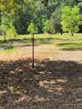26002 Roping Pen Road - Photo 5