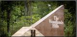 297 Scarlet Maple Way - Photo 24