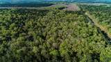 00 Hwy 49 - Photo 12