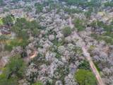 25415 Clear Creek Road - Photo 7