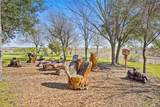 4813 Hummingbird Street - Photo 47