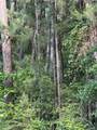 TBD Fm 1127 Road - Photo 2