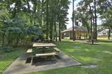 31235 Windcrest Park Lane - Photo 44