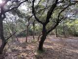 TBD Loose Cow Road - Photo 11