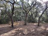 TBD Loose Cow Road - Photo 12