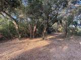 TBD Loose Cow Road - Photo 13