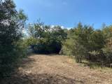 TBD Loose Cow Road - Photo 14