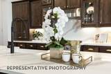 31507 Bramble Hollow Court - Photo 6
