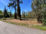 0 Timber Lakes Drive - Photo 1
