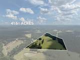 Tract 2 An County Road 153 - Photo 11