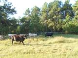 0000 Old Beaumont Road - Photo 15