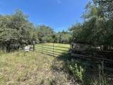 TBD Hwy 90A - Photo 13