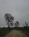 0 County Road 310 - Photo 2