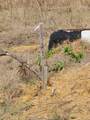 1569 Road 5894 - Photo 8