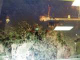 25384 Northampton - Photo 12